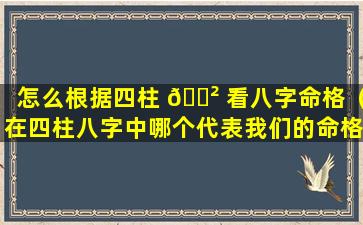 怎么根据四柱 🌲 看八字命格（在四柱八字中哪个代表我们的命格）